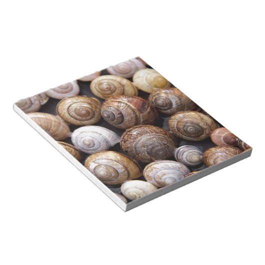 Bloc-note Coques des escargots (Incliné)