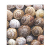 Bloc-note Coques des escargots (Devant)