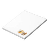 Bloc-note Coquille (Tourné)