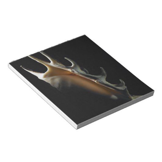 Bloc-note Coquille de cône (Incliné)