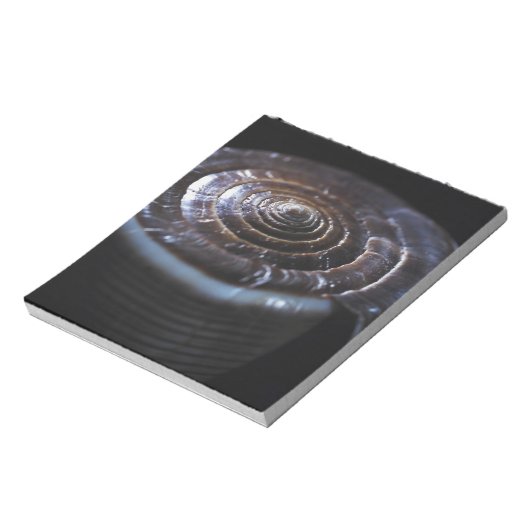 Bloc-note Coquille de cône (Tourné)