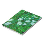 Bloc-note Cornus sanguinea (Tourné)