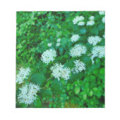 Bloc-note Cornus sanguinea (Devant)