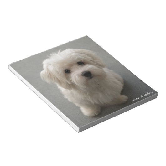 Bloc-note Coton de Tulear (Incliné)