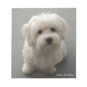 Bloc-note Coton de Tulear (Devant)