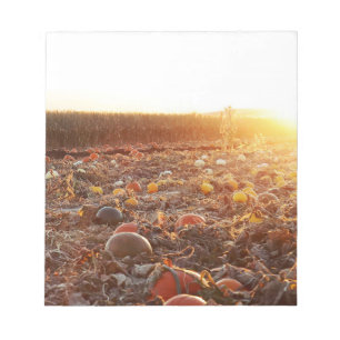 Bloc-note Coucher de soleil au champ de citrouilles