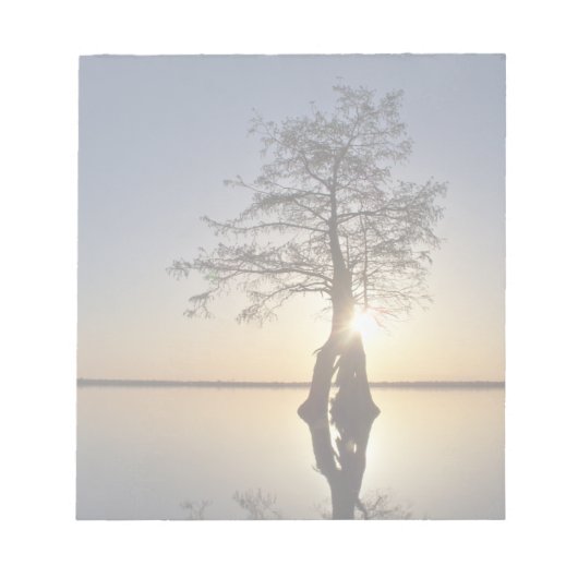 Bloc-note Coucher de soleil derrière un arbre (Devant)
