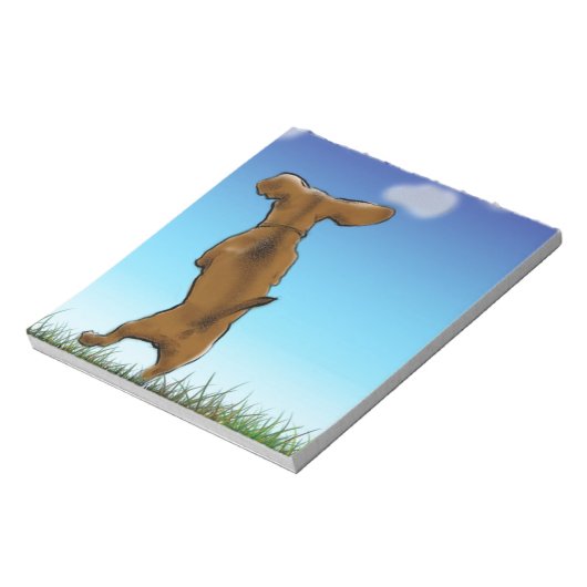 Bloc-note couleur_doxie_ignorée (Tourné)