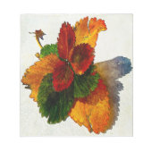 Bloc-note Couleurs colorées des feuilles d'automne (Devant)