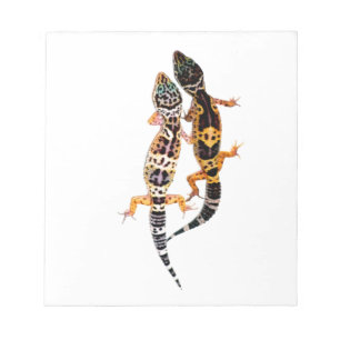 Bloc-note Couple de Leopardgecko