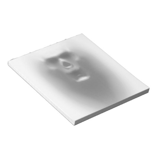 Bloc-note crâne effrayant (Incliné)