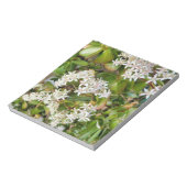 Bloc-note Crassula ovata (Tourné)