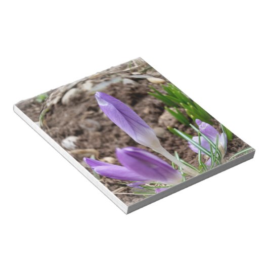 Bloc-note Crocus printaniers (Incliné)