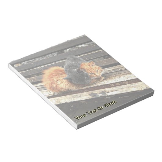 Bloc-note Cuisses Catnap (Incliné)