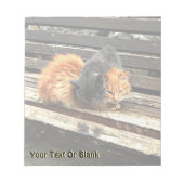 Bloc-note Cuisses Catnap (Devant)