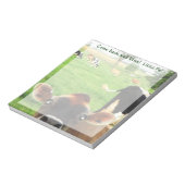 Bloc-note Curieux Notepad Lititz Vache ! (Tourné)