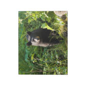 Bloc-note Curieux ours noir (Tourné)