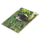 Bloc-note Curieux ours noir (Incliné)