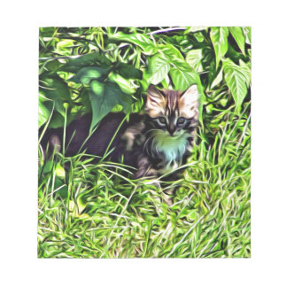 Bloc-note Curieux petit chaton