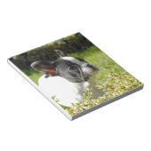 Bloc-note Cute French bulldog on grass (Incliné)