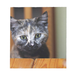 Bloc-note Cute Kitten noir et blanc