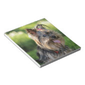 Bloc-note Cute Little Yorkshire Terrier Chien (Incliné)