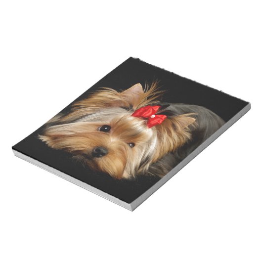 Bloc-note Cute yorkie (Tourné)