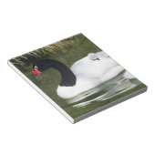 Bloc-note Cygne à cou noir adulte et cygnets dans l'eau. (Incliné)