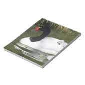 Bloc-note Cygne à cou noir adulte et cygnets dans l'eau. (Tourné)