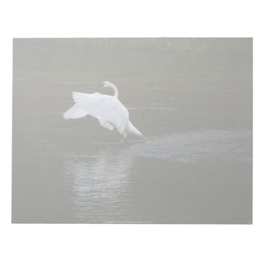 Bloc-note Cygne trompette (Devant)