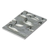 Bloc-note Cygnes à cou noir (Cygnus melancoryphus) (Tourné)