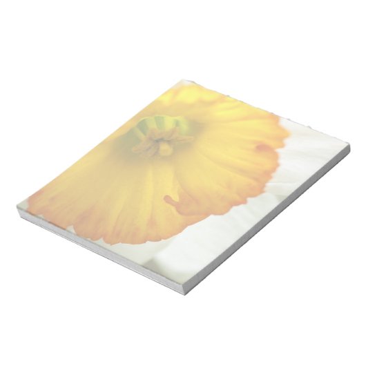 Bloc-note Daffodile (Tourné)