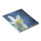 Bloc-note Daffodique au printemps (Incliné)