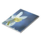 Bloc-note Daffodique au printemps (Tourné)