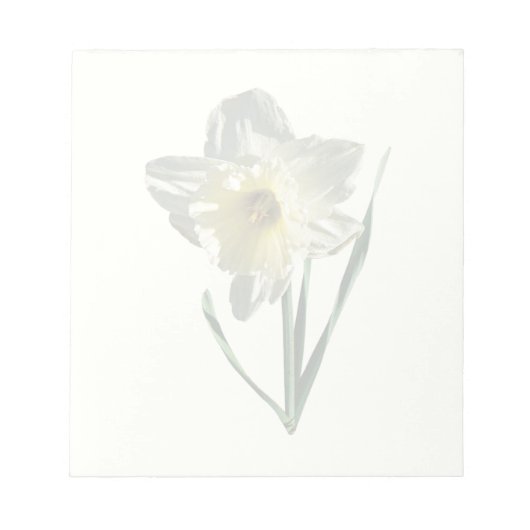 Bloc-note Daffodique blanc (Devant)