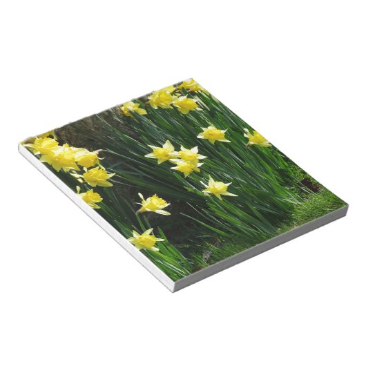 Bloc-note Daffodiques de printemps (Incliné)