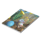 Bloc-note Daffodiques et oeuf bleu de Pâques (Tourné)