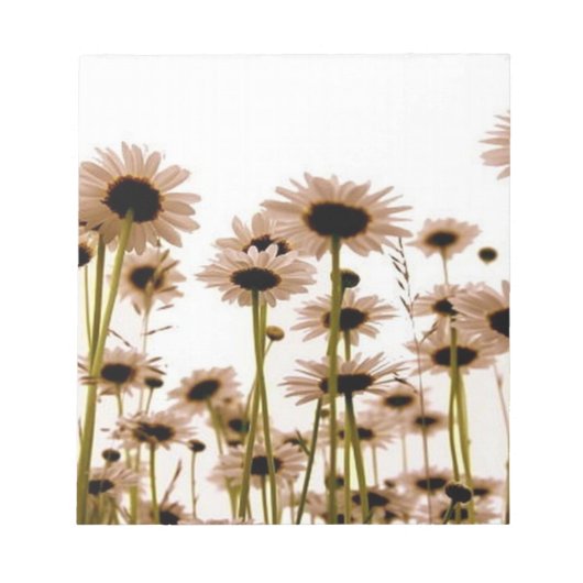 Bloc-note Daisy (Devant)