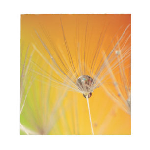Bloc-note Dandelion Fleurs Destiny Peace Love Art