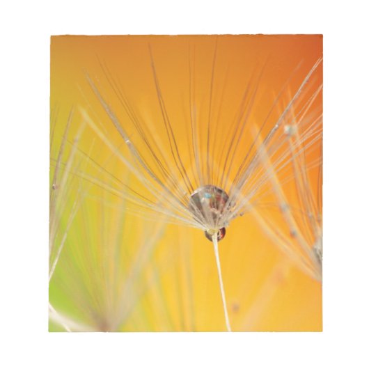 Bloc-note Dandelion Fleurs Destiny Peace Love Art (Devant)