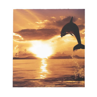Bloc-note dauphin saut avec beau coucher de soleil sur la me