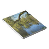 Bloc-note de beaux saules de printemps près de l'étang d'eau (Incliné)