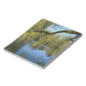 Bloc-note de beaux saules de printemps près de l'étang d'eau (Tourné)