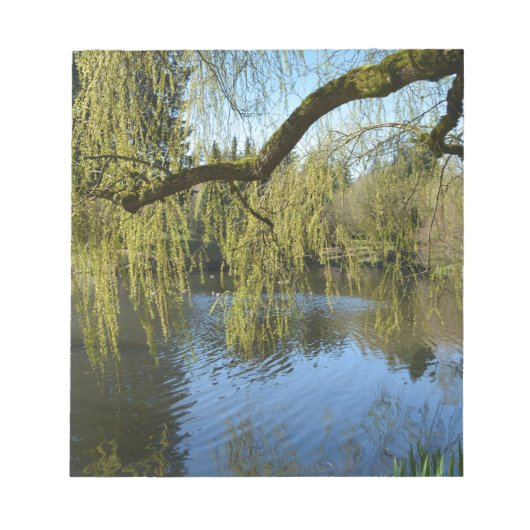 Bloc-note de beaux saules de printemps près de l'étang d'eau (Devant)
