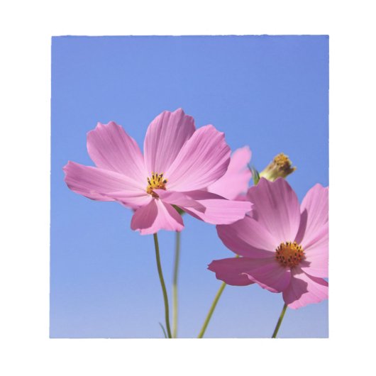 Bloc-note de belles fleurs roses serrant un ciel bleu clair (Devant)