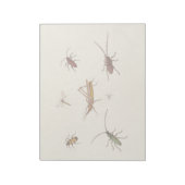 Bloc-note Design vintage avec sept insectes différents (Tourné)