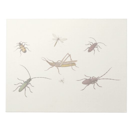 Bloc-note Design vintage avec sept insectes différents (Devant)