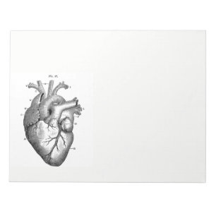 Bloc-note Dessin anatomique vintage Coeur humain
