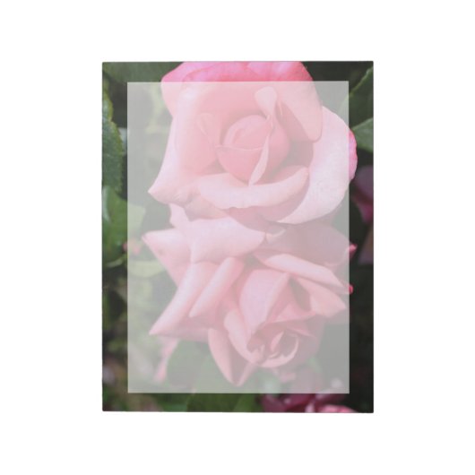 Bloc-note deux fleurs roses roses chaudes. (Tourné)