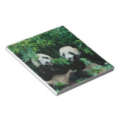Bloc-note Deux pandas mangeant du bambou ensemble, Wolong (Incliné)